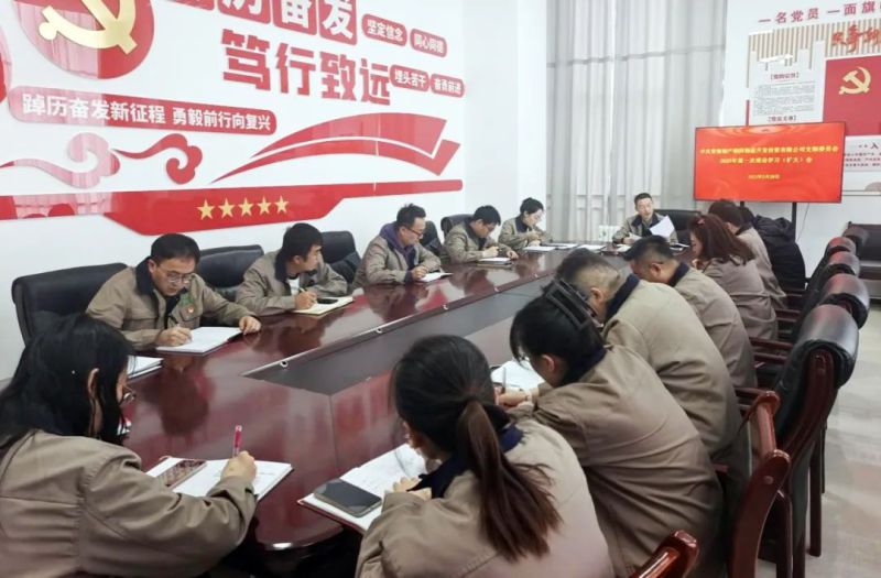 朝開(kāi)公司黨支部召開(kāi)2025年第一次理論學(xué)習(xí)（擴(kuò)大）會(huì)