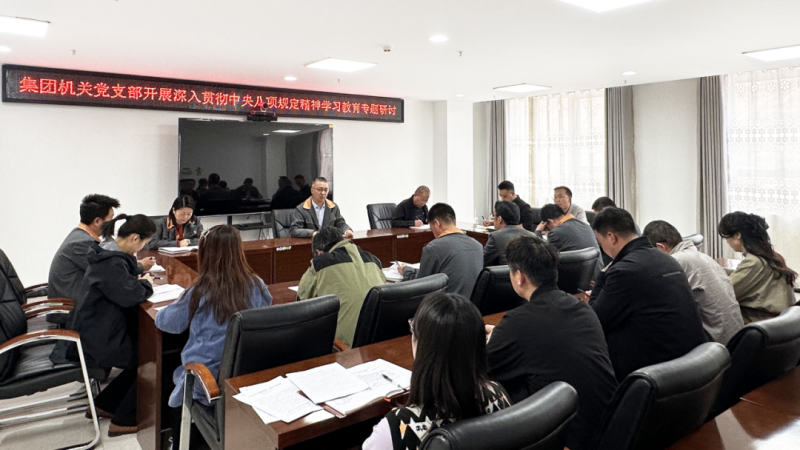 集團(tuán)機關(guān)黨支部開展深入貫徹中央八項規(guī)定精神學(xué)習(xí)教育專題研討