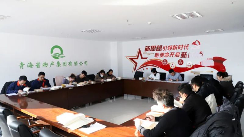 凝心鑄魂學(xué)思想 充電蓄能促提升&mdash;&mdash;集團(tuán)團(tuán)委組織開(kāi)展團(tuán)員和青年主題教育&ldquo;挺膺擔(dān)當(dāng)&rdquo;專(zhuān)題集中學(xué)習(xí)