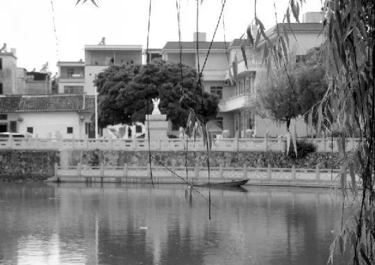 老鄉(xiāng)眼里的李河君：陌生富豪，夫人助其發(fā)財(cái)